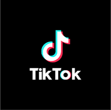How to Watch TikTok Video without an App