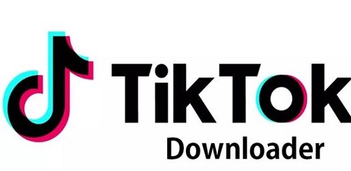 TikTok Downloader Video