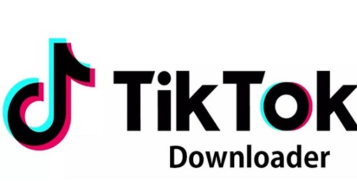 TikTok Downloader Video